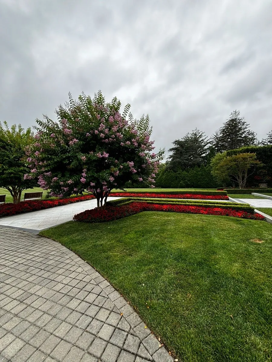 Completed Landscape