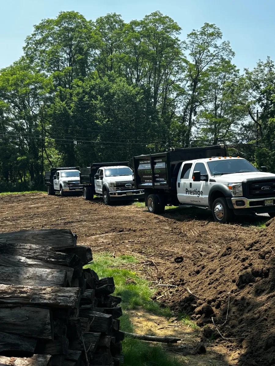Commercial Landscaping Project