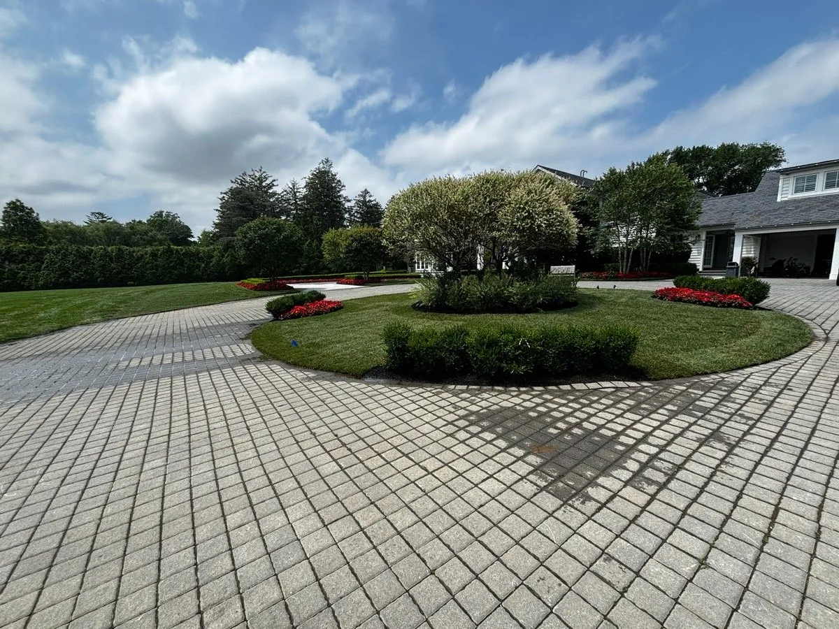 Completed Landscape
