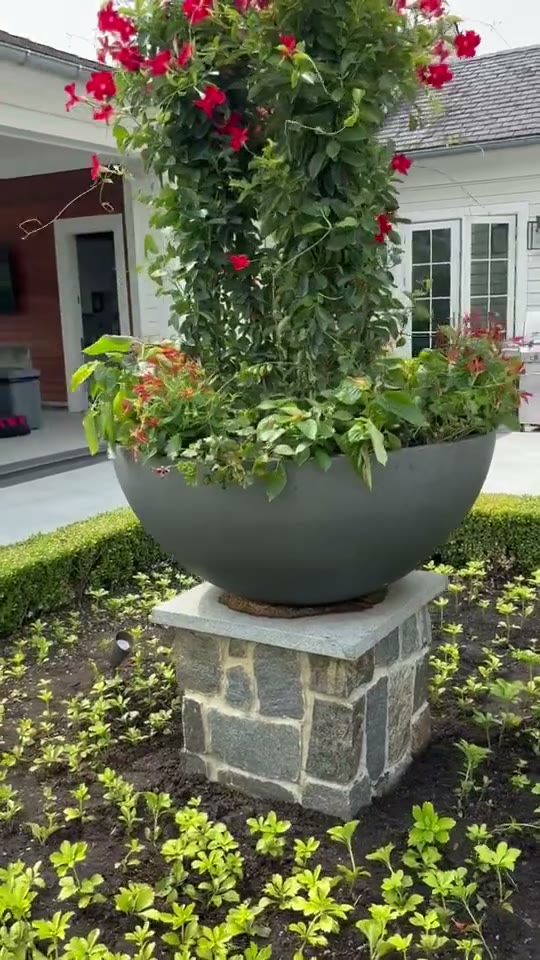 Colts Neck Manor